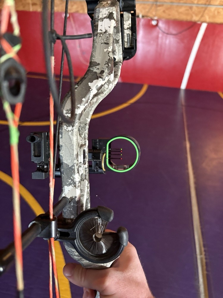 Left Handed Bear Paradox