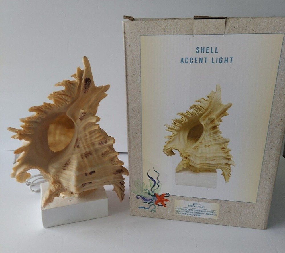 Cracker Barrel Shell Accent Light Standard 120 V Wall Outlet