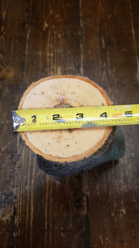 MAPLE Turning Crotch Log 10" Long M4111