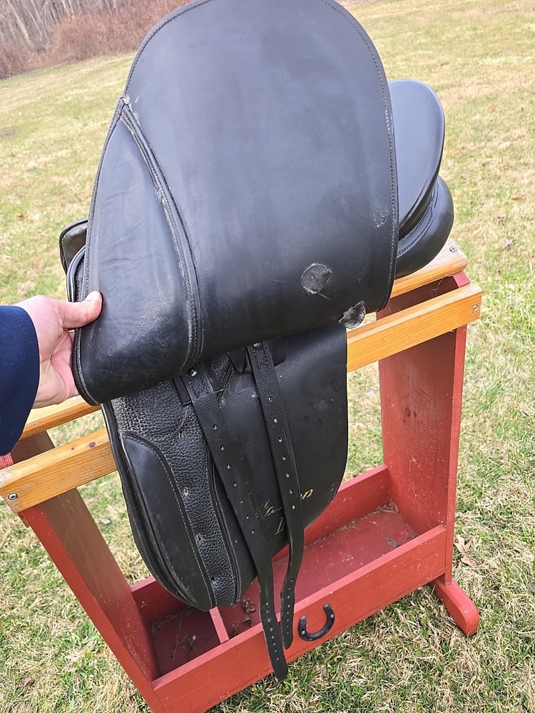 Dressage Saddle