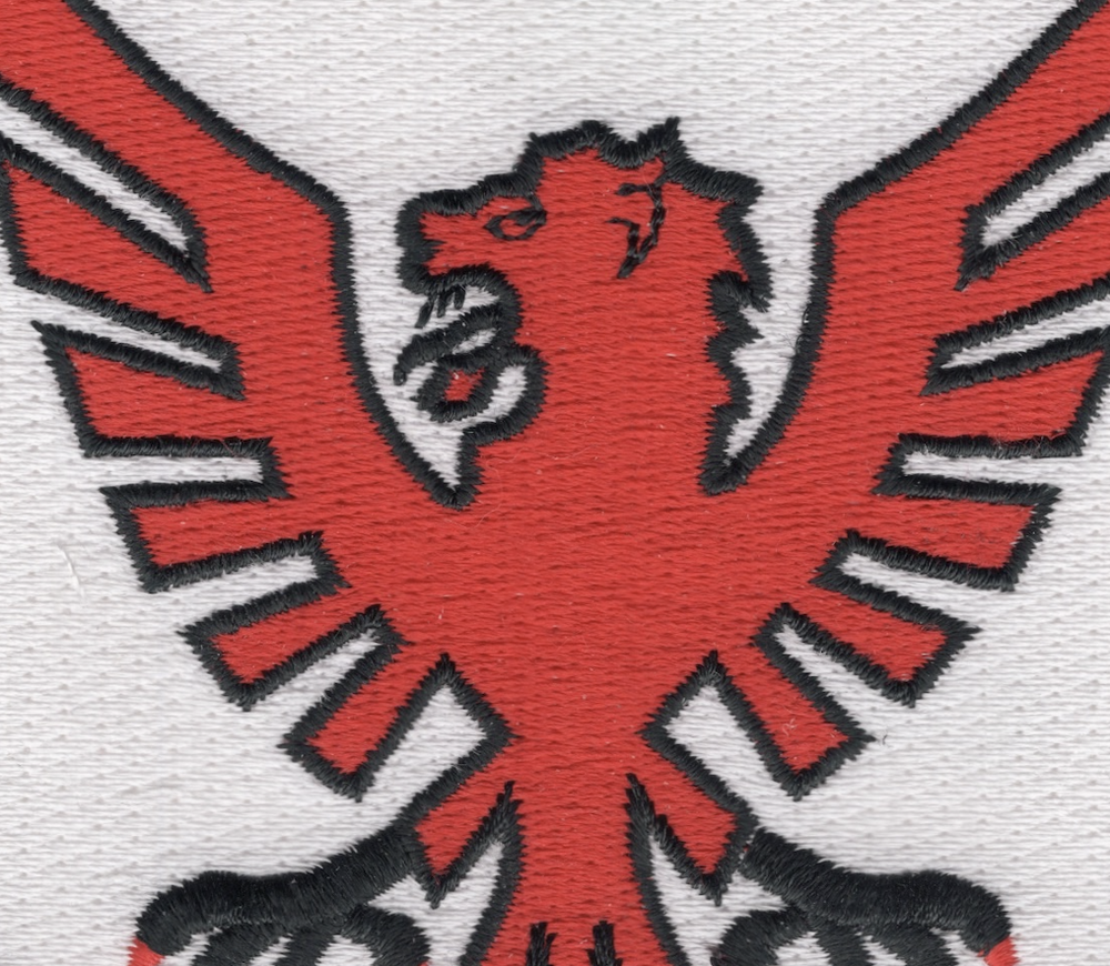 513th Fighter INTCP Squadron Patch