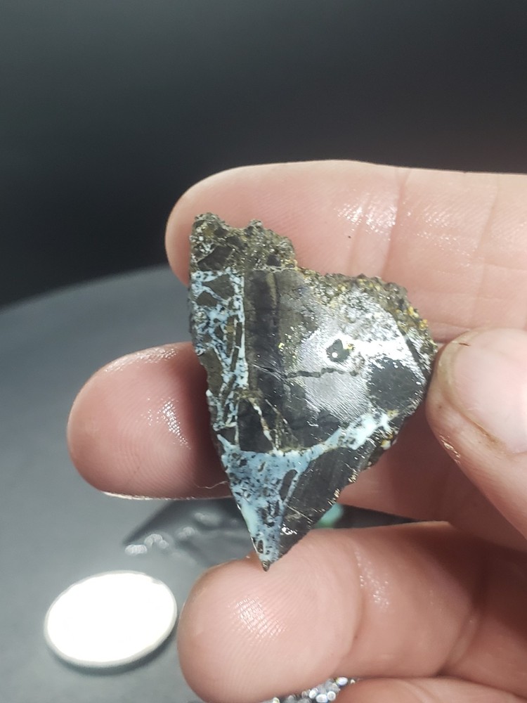 Nevada Gecko Variscite Slabs