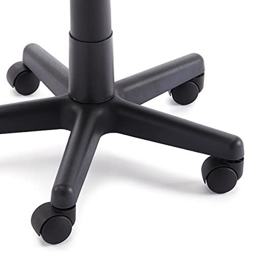 Amazon Basics Low-Back Computer Task Office Desk Chair with Swivel Casters - Blu