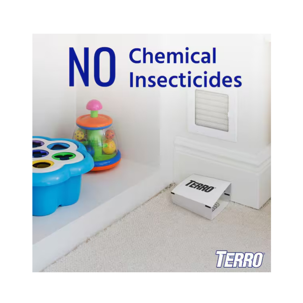 Terro T3206 Spider & Insect Traps – Indoor Use, 1 Pack, White