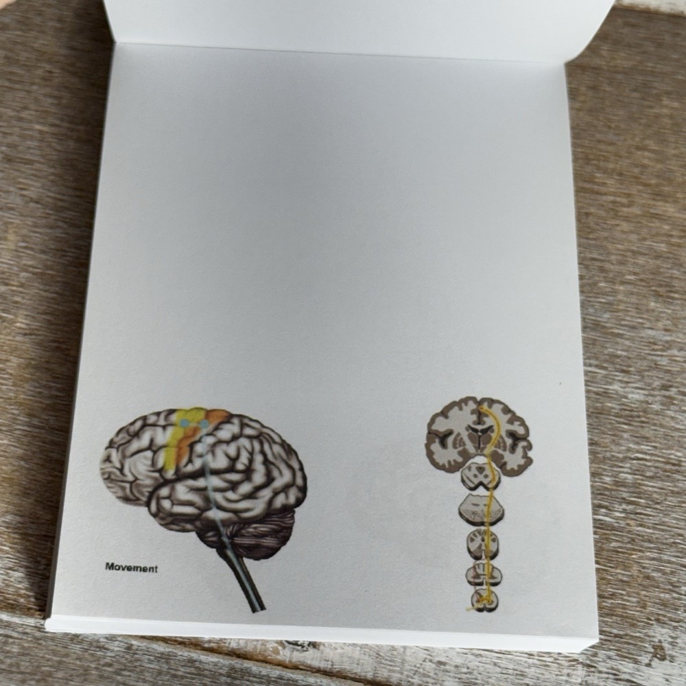 Blue Tree Publishing Assorted Brain Scanned Photos Note Pad 99 Sheets Left 5"x4"