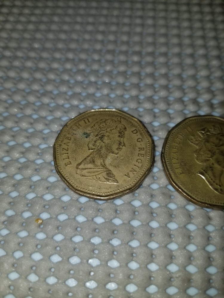 Canada Dollar Coins 1993 & 1989