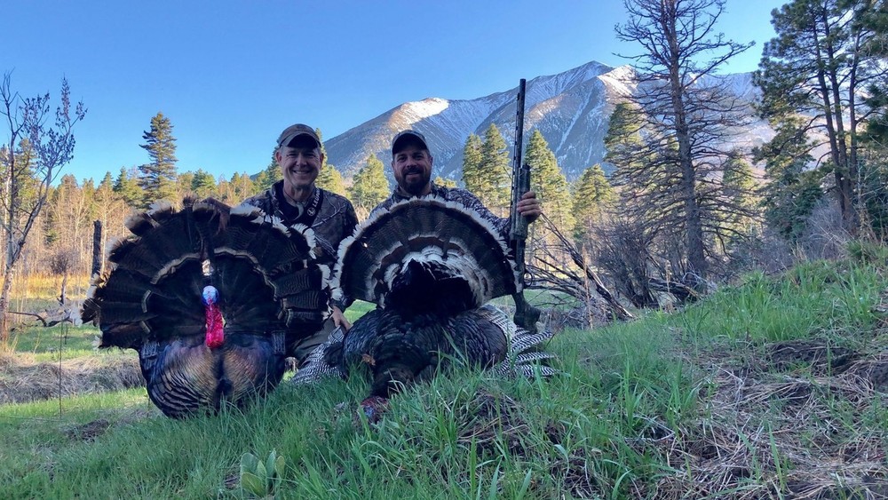 Wiley Tom 2D Gobbler Decoy (Closeout)