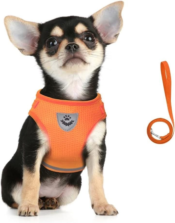 Dog Harness & Leash Set Walking Soft Mesh Adjustable Easy Control Lightweight