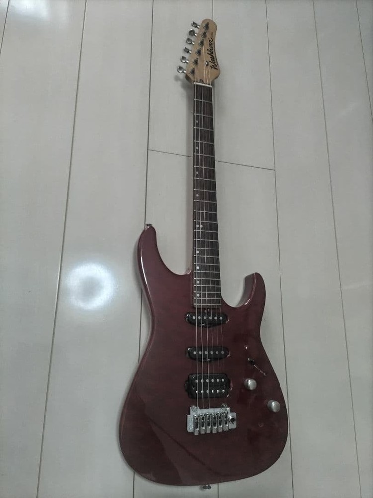 Washburn USA MG120