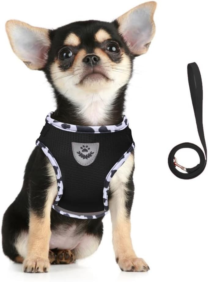 Dog Harness & Leash Set Walking Soft Mesh Adjustable Easy Control Lightweight