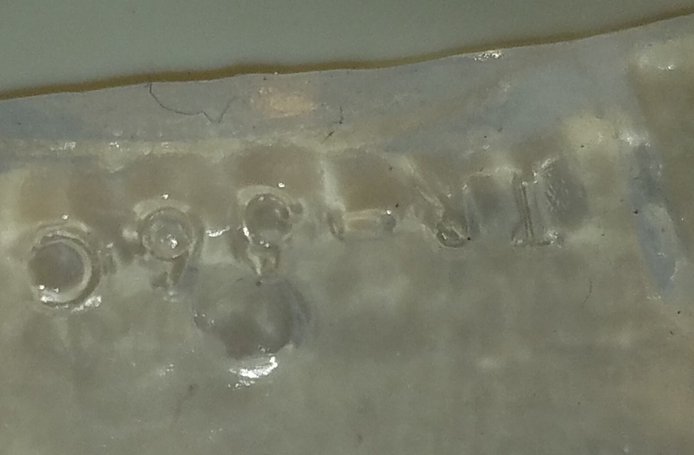 Dental Model Nissin. practical training. education.