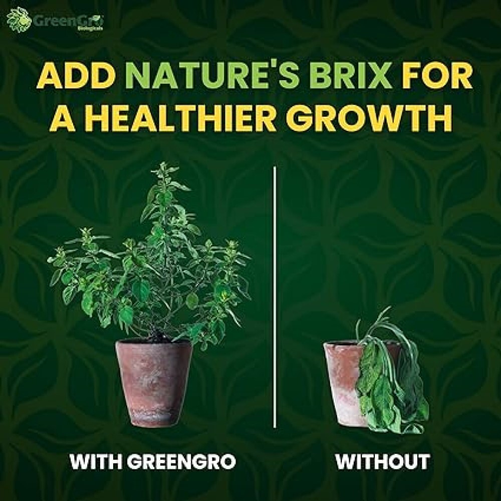 Nature's Brix Microbial Food Source 5 lbs by GreenGro Biologicals