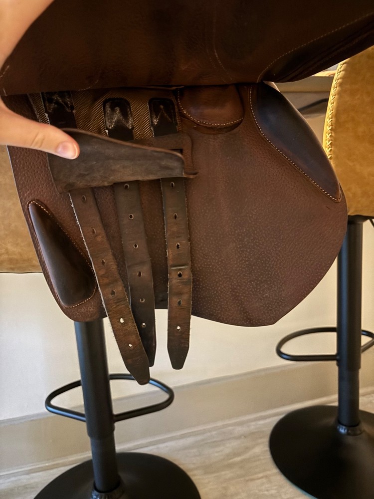 17.5” Arion Saddle
