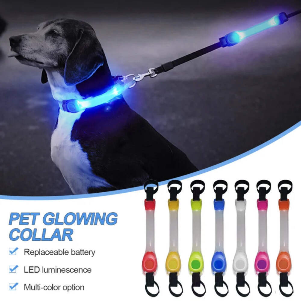 Dog Anti Lost Collar