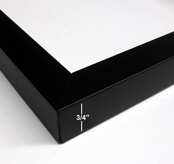 Hobby Frames CD or DVD Display Frame Holder for Disc, Black