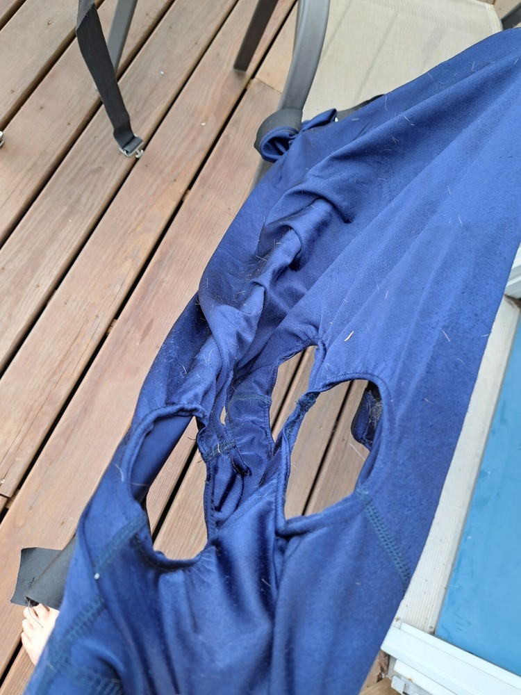 Robinhood horse sleazy size medium