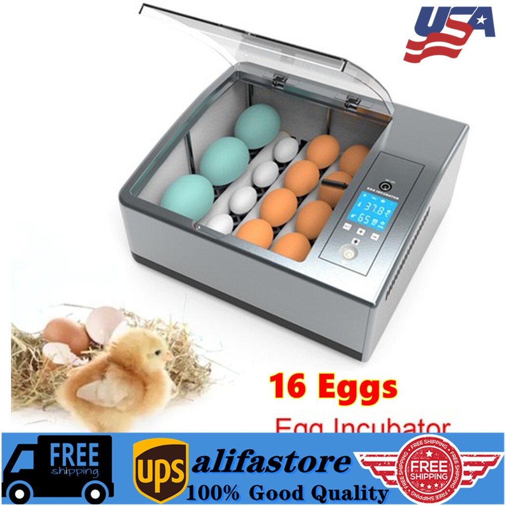 ✅16 Eggs Egg Incubator for Hatching Egg Full Automatic Turning Duck Chicken Egg