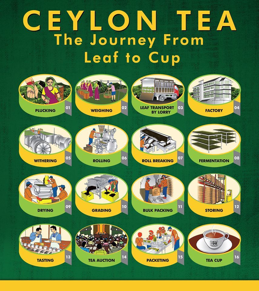 Dilmah Premium Quality Ceylon Tea 50 Bags