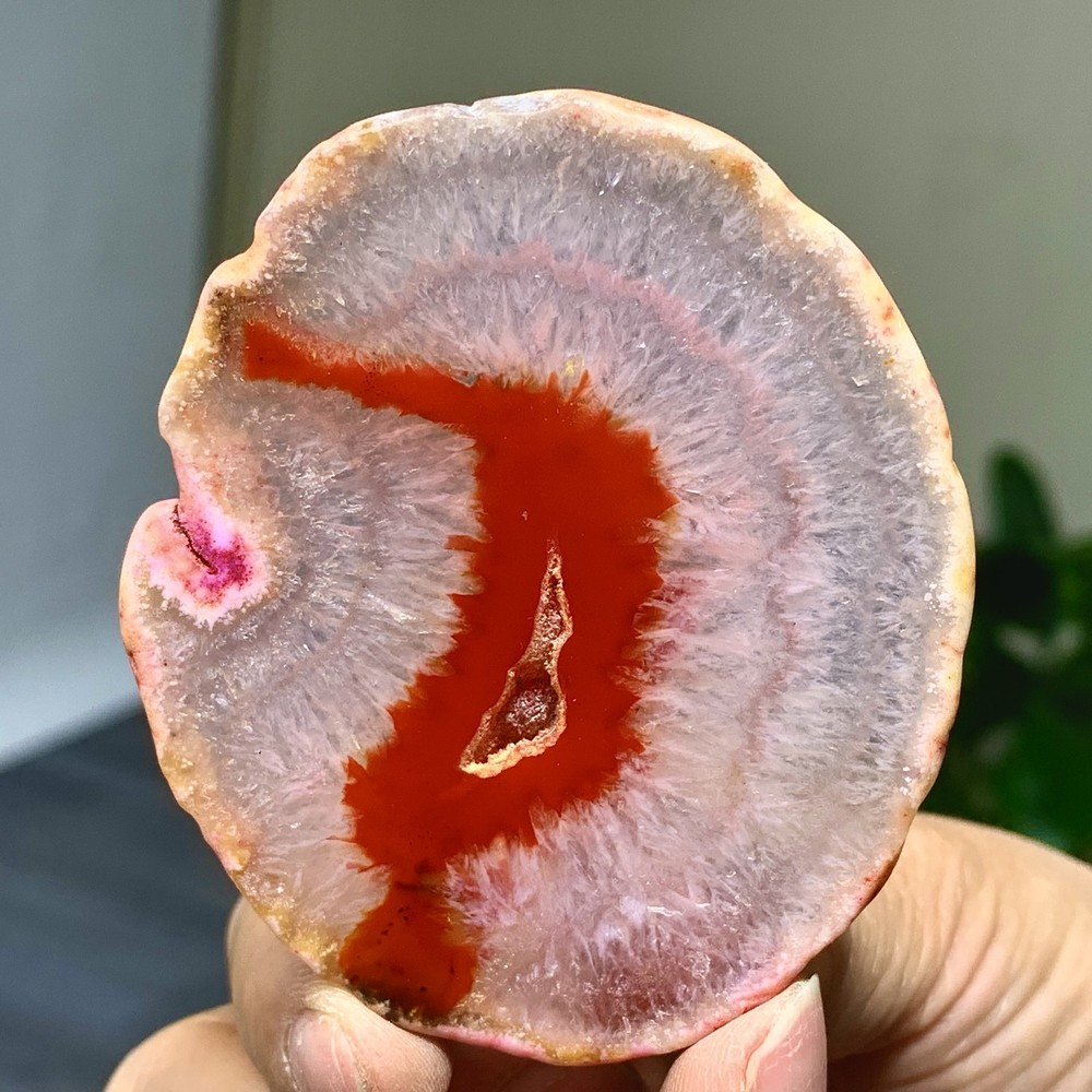 42G Natural Beautiful Agate Geode Druzy Slice Extra Large Gemstone