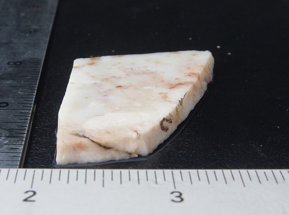 Parrall Agate Lapidary Slab T1124