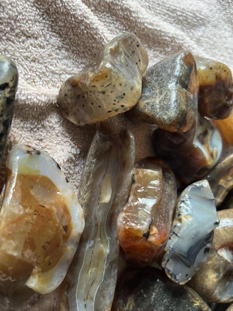10 Lbs Rough Montana Agate (49)
