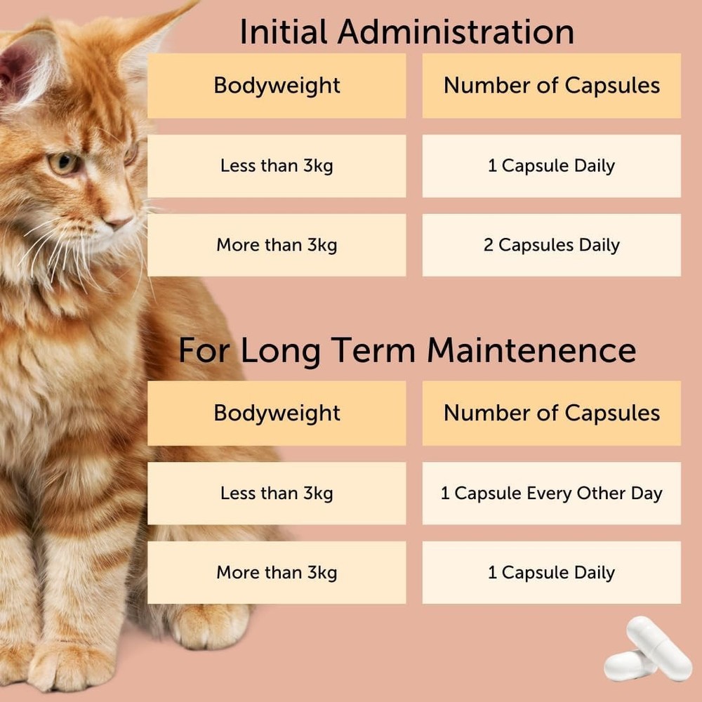 Cystease Advanced Urinary Tract Support for Cats Pot Size: 30 Tablets