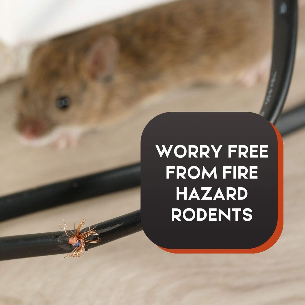 High-Quality Squirrel Trap - Efficient Extermination=