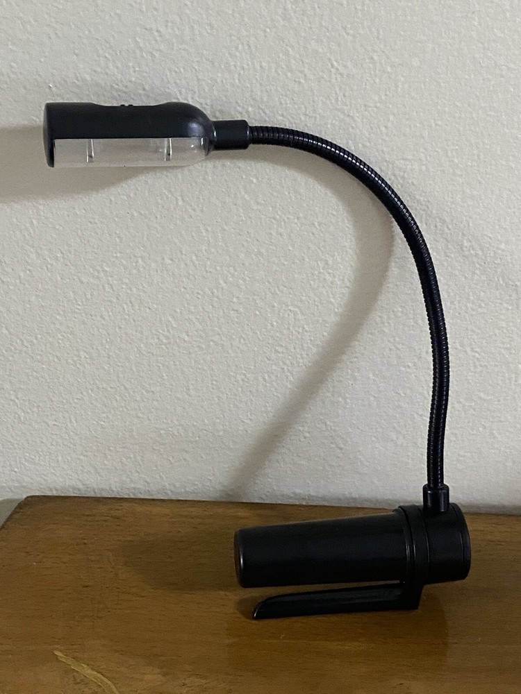 Great Point Light Spike Bright 2 LED Reading Book Clip
