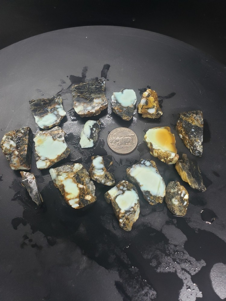 Aloe Variscite Slabs 1/4 lb