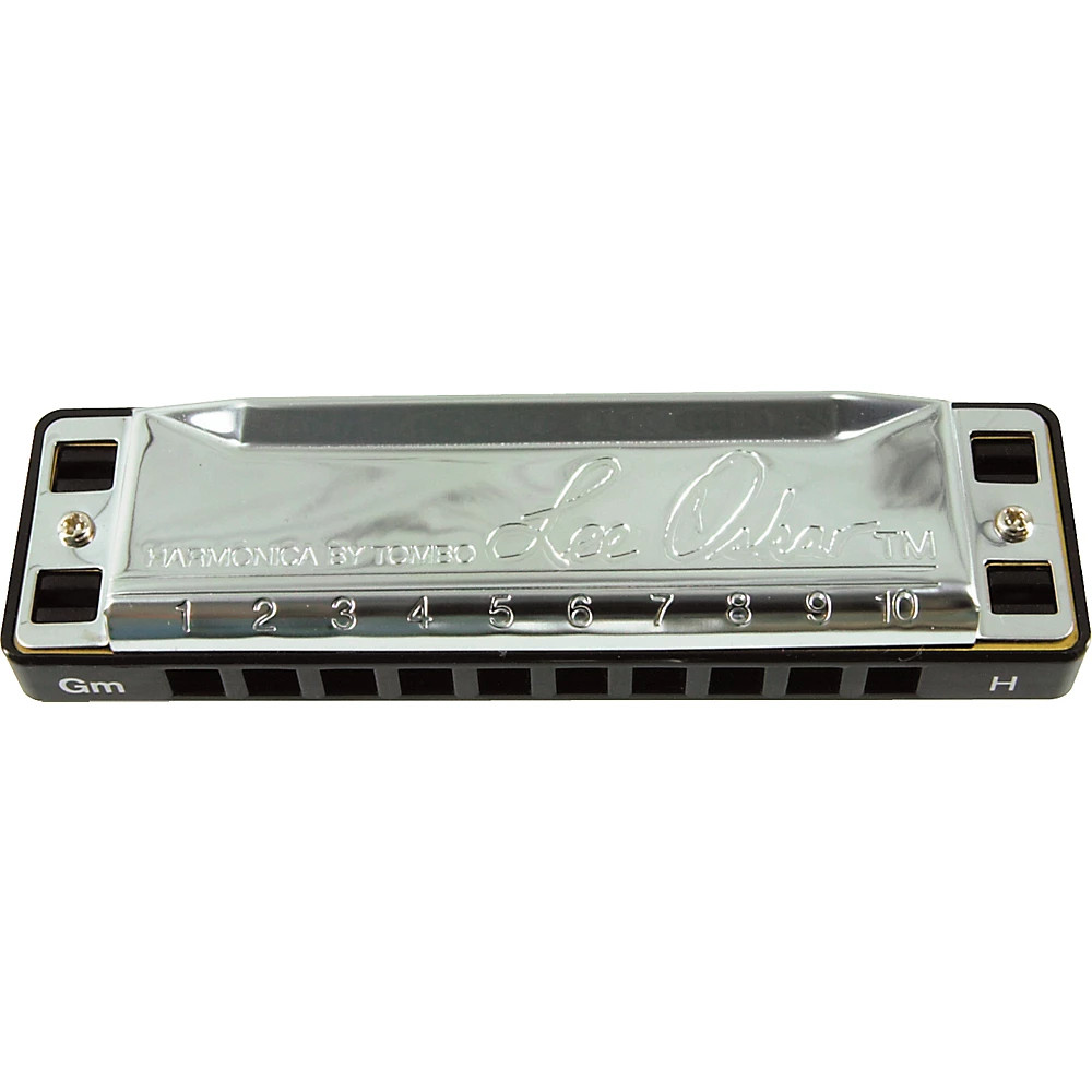 Lee Oskar Harmonic Minor Harmonica D MINOR