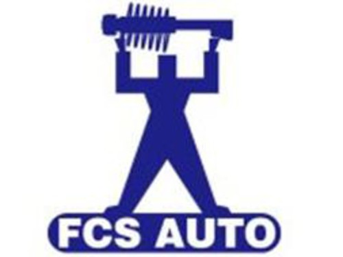 FCS AUTOMOTIVE E89069R Liftgate Lift Support