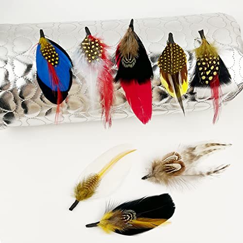 Hat Feathers, Assorted Natural Feathers Colorful Real Feathers Packs
