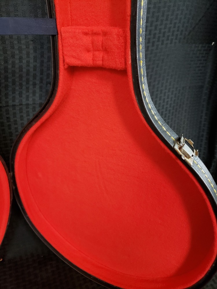 497251 - Unbranded Banjo/Mandolin Case