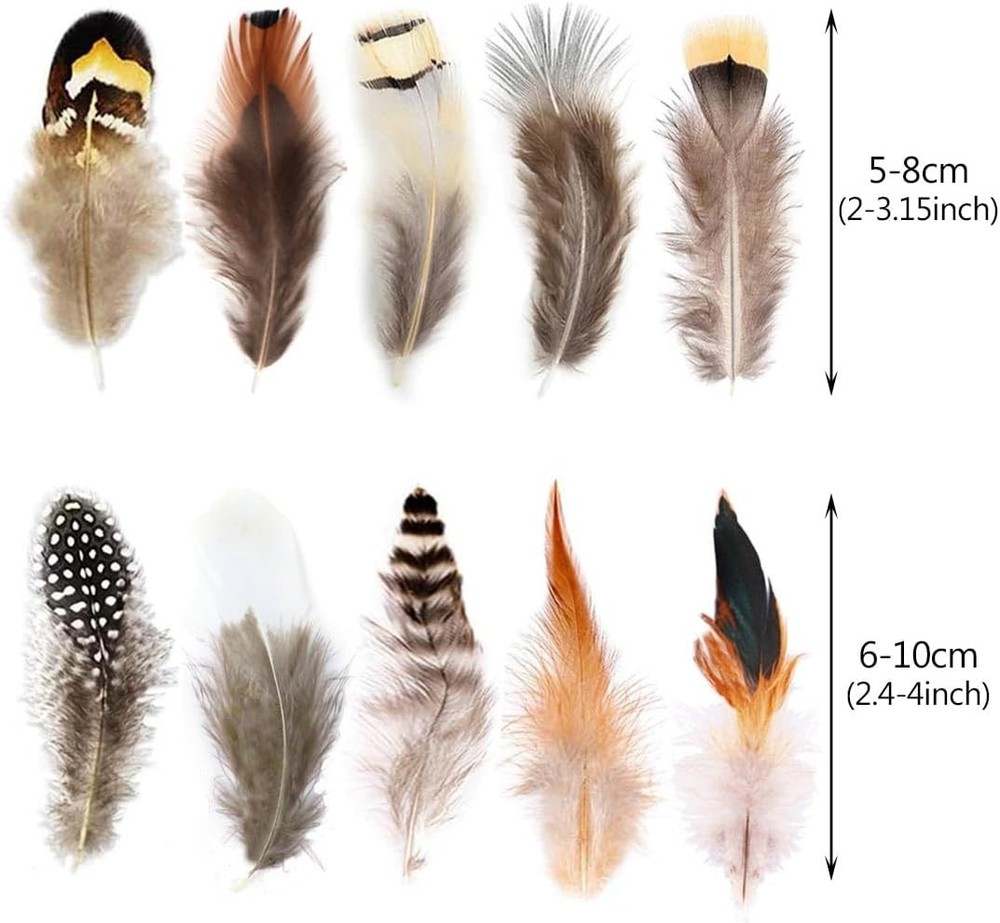200pcs 10 Style Natural Feathers Assorted Mixed 10 Styles - 200 Pcs
