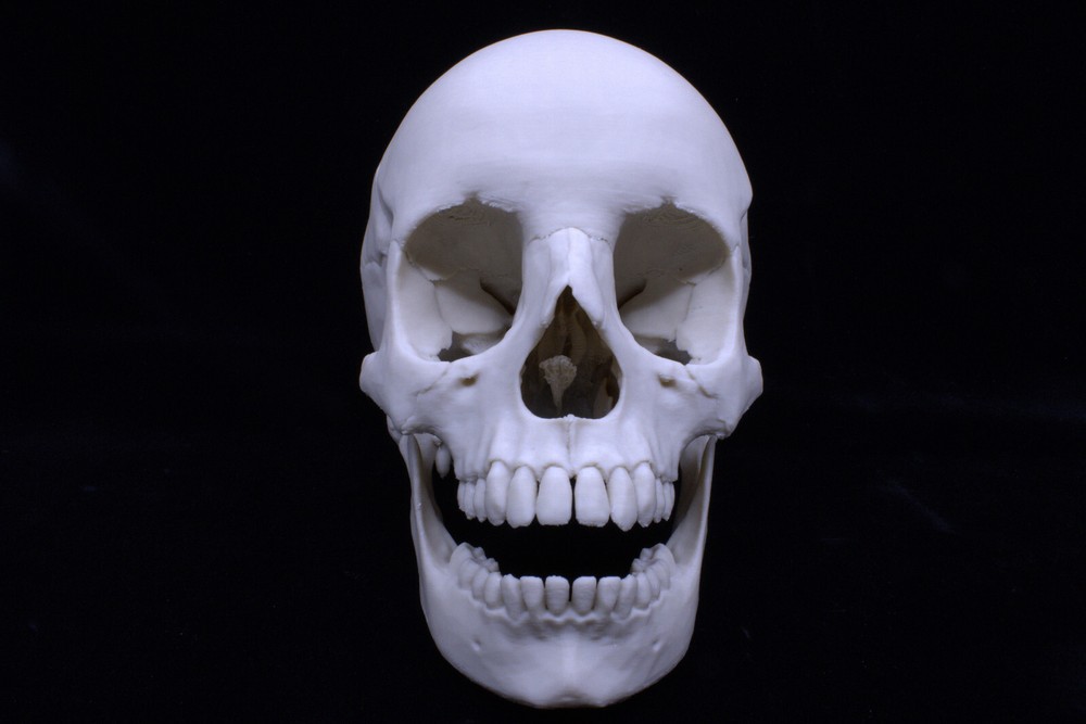 3D Printed Anatomically Correct Skull!