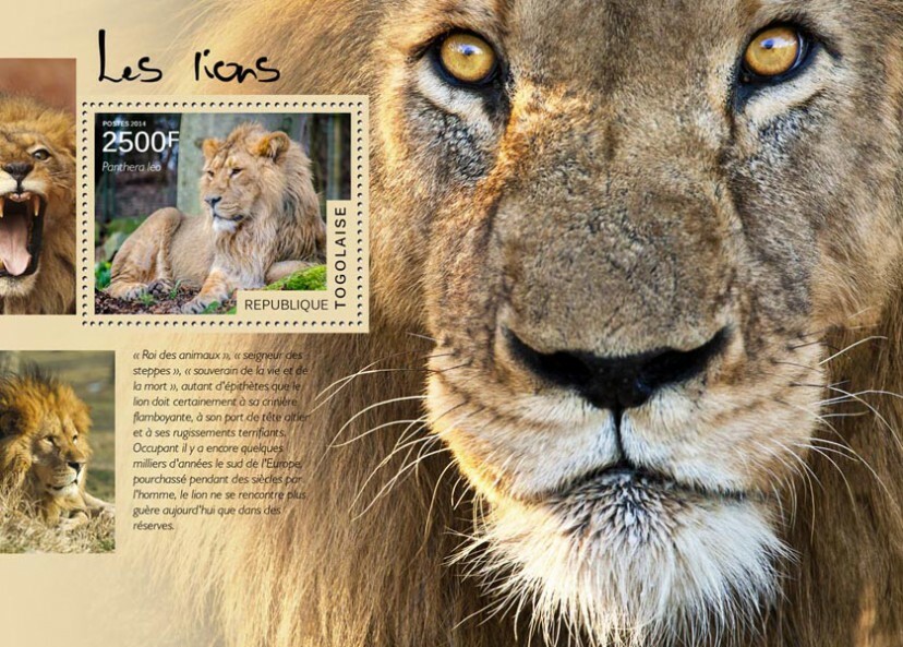 2014 TOGO MNH. LIONS. Yvert&Tellier Code: 896  |  Michel Code: 6155 / Bl.1051