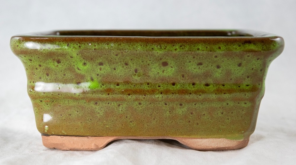 6" Rectangular Glazed Moss Green Cactus & Succulent, Bonsai Pot - Pot/Combo/Kit