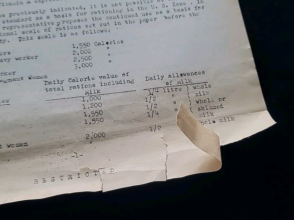 1945 Germany WWII US Army War Military Document Minimum Nutrition Requirements