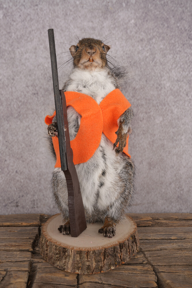 Hunting Squirrel SKU 3109