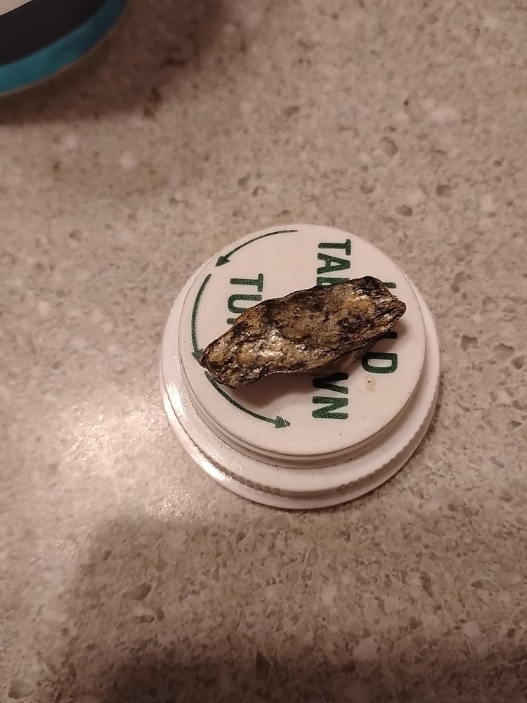 Native Platinum Nugget W/Quartz
