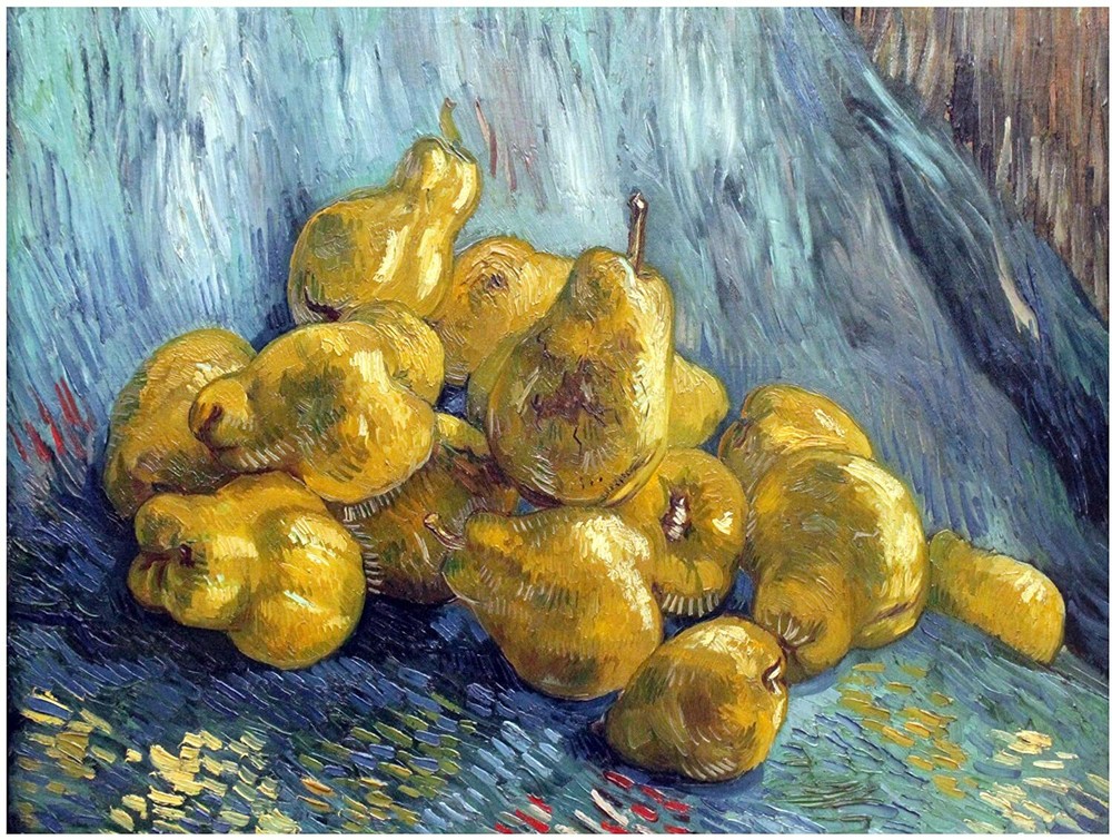 Still Life Quinces Vincent Van Gogh Tile Mural Kitchen Backsplash Marble Ceramic