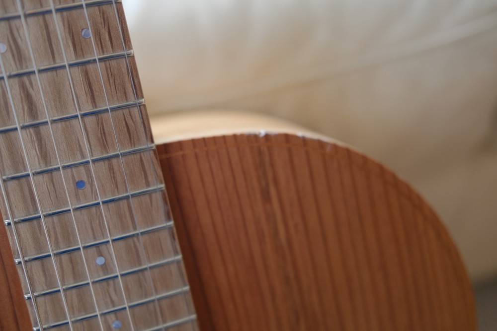 Cole Clark Little Lady Mini