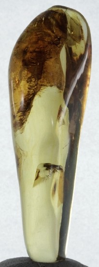 LEAF & FRUIT FLIES in Mexican Amber specimen 5g