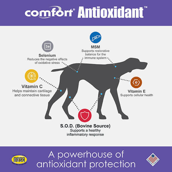 Comfort Antioxidant Immune Support for Dogs