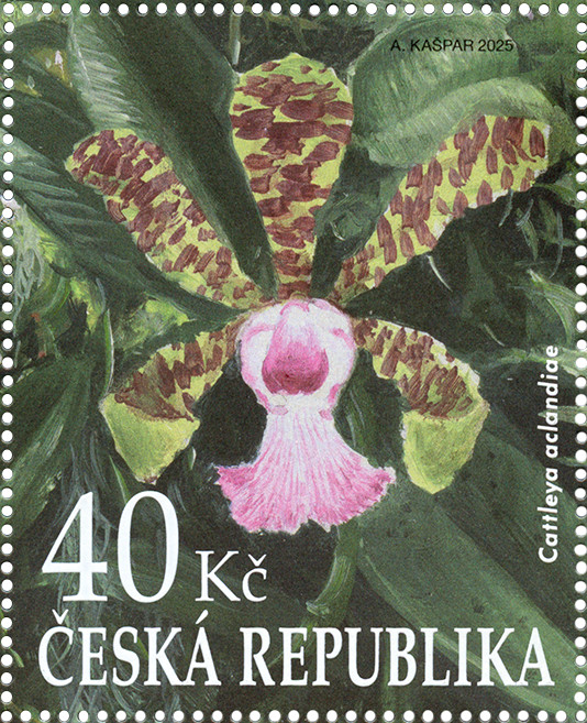 Czech Republic - Botanical Garden in Brno