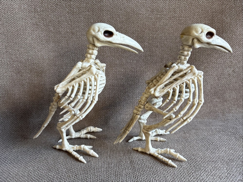 Two Halloween Crow Skeleton Tabletop Bird Bones Decoration