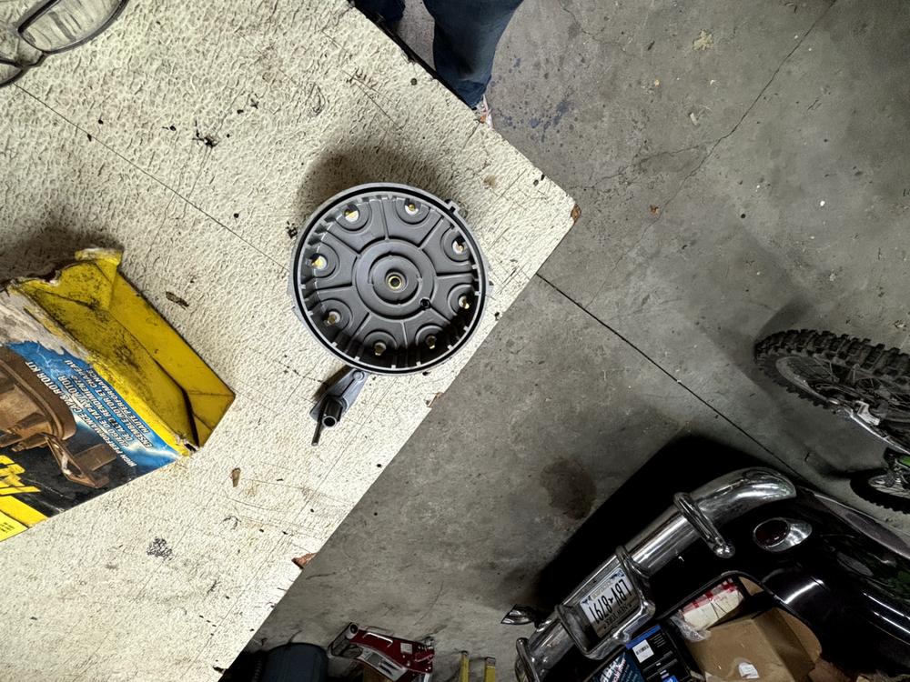 accel 8234 cap and rotor