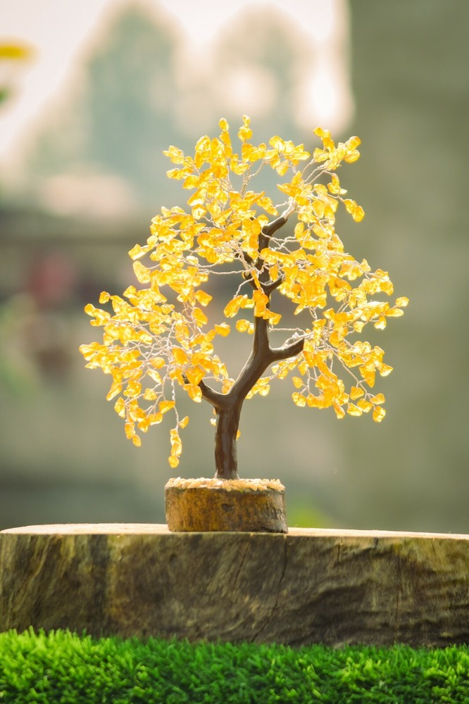 Gemstone Citrine 500 Chips Gem Tree