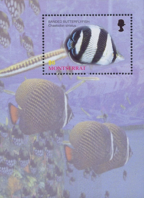 Montserrat Scott #'s 1105 MNH