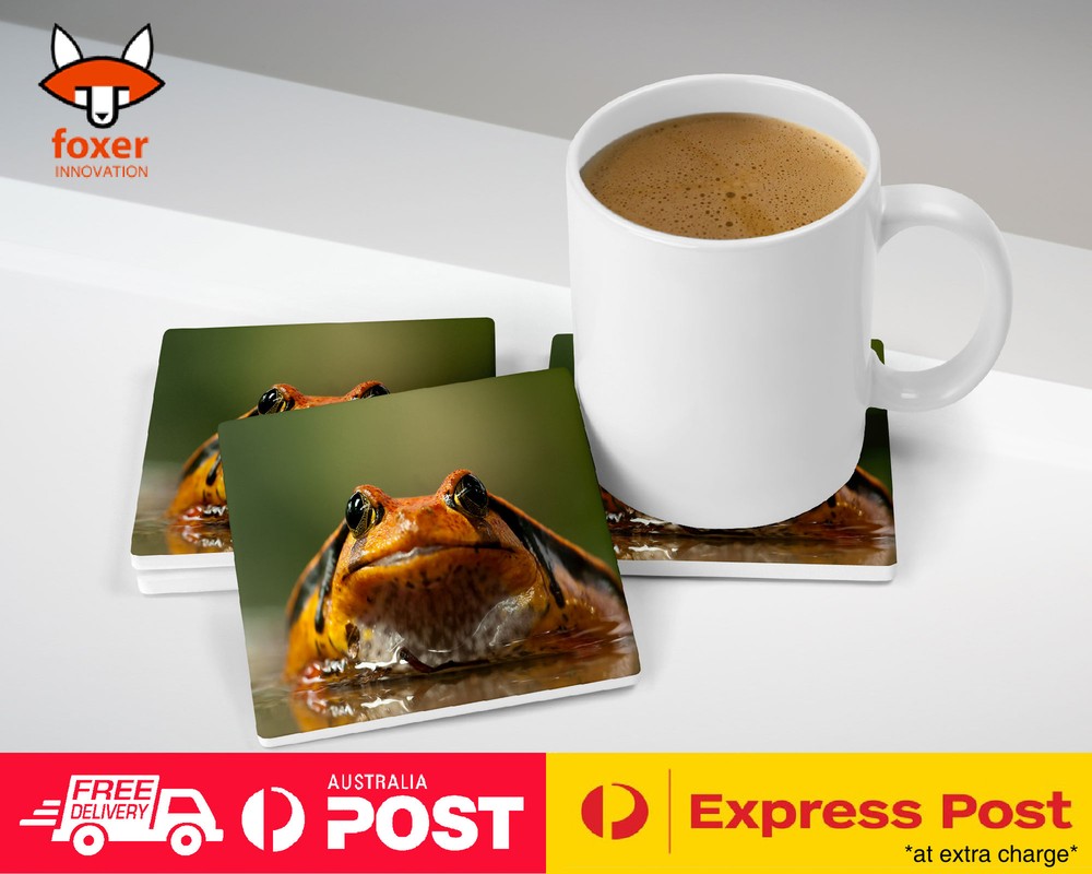 COASTER COFFEE DRINKING MAT|ORANGE FROG TOAD AMPHIBIANS